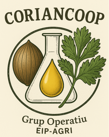 coriandre logo v5