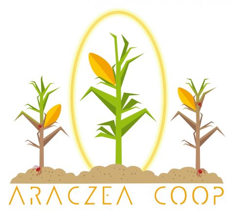 cropped-Logo-Araczea_coop-JPG-08.jpg